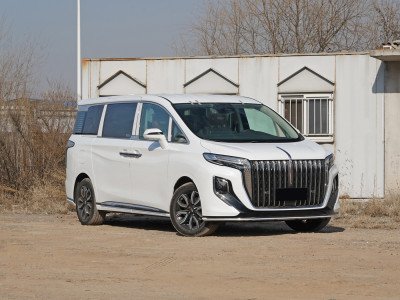 HongQi HQ9 Фото №3